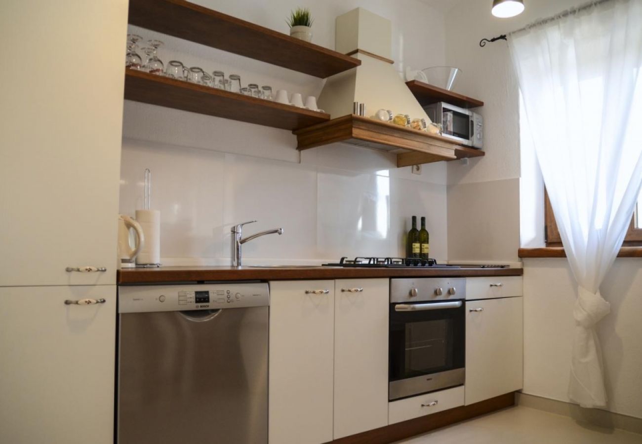 Casa a Svetvincenat - Casa di vacanza in Sanvincenti (Svetvincenat) con terrazzo, Climatizzazione, WIFI, Lavatrice (4843-1)