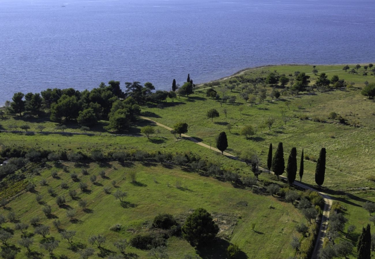 Casa a Svetvincenat - Casa di vacanza in Sanvincenti (Svetvincenat) con terrazzo, Climatizzazione, WIFI, Lavatrice (4843-1)