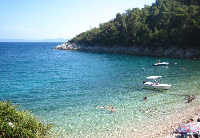 Casa a Labin - Casa di vacanza in Albona (Labin) con terrazzo, Climatizzazione, WIFI, Lavatrice (4866-1) Casa a Labin - Casa di vacanza in Albona (Labin) con terrazzo, Climatizzazione, WIFI, Lavatrice (4866-1)