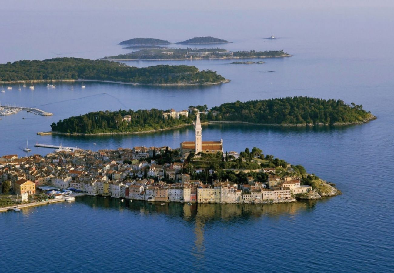 Casa a Labin - Casa di vacanza in Albona (Labin) con terrazzo, Climatizzazione, WIFI, Lavatrice (4866-1)