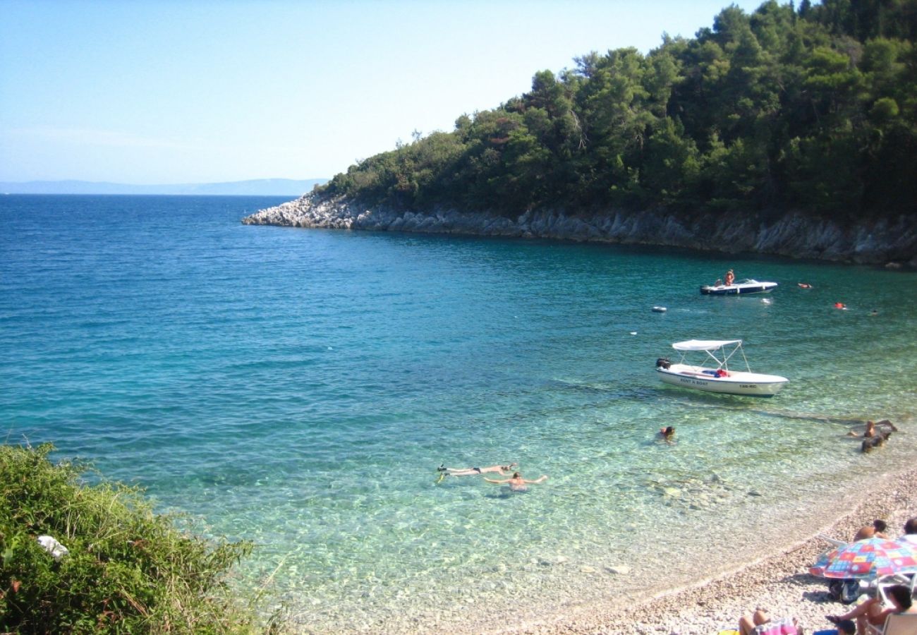 Casa a Labin - Casa di vacanza in Albona (Labin) con terrazzo, Climatizzazione, WIFI, Lavatrice (4866-1)