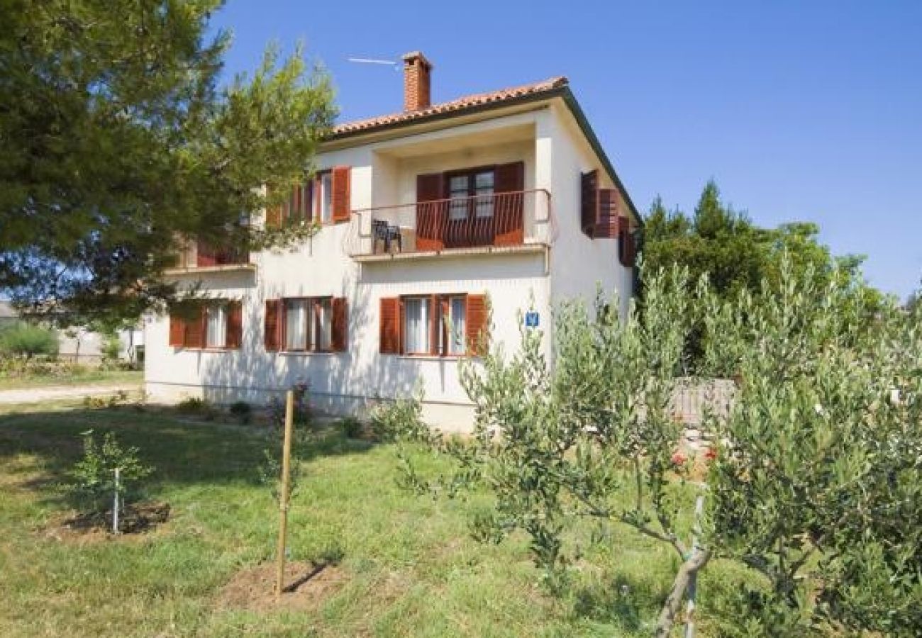 Appartamento a Nin - Appartamento in Nona (Nin) con loggia, Climatizzazione, WIFI (4869-5)