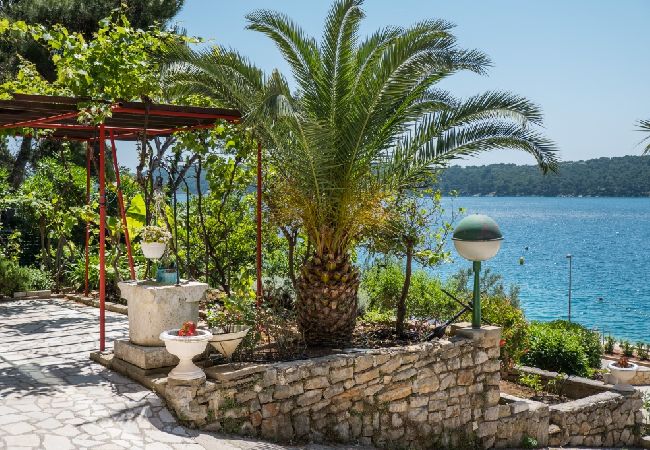 Appartamento a Mali Lošinj - Appartamento in Lussinpiccolo (Mali Losinj) con vista mare, balcone, Climatizzazione, WIFI (4896-3) Appartamento a Mali Lošinj - Appartamento in Lussinpiccolo (Mali Losinj) con vista mare, balcone, Climatizzazione, WIFI (4896-3)