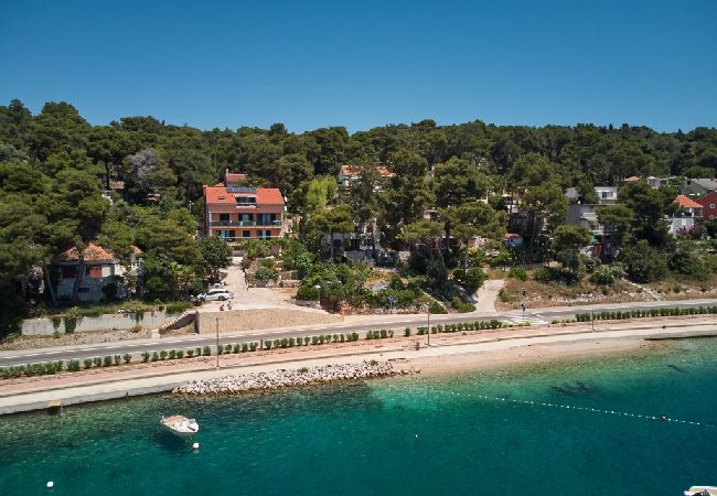 Appartamento a Mali Lošinj - Appartamento in Lussinpiccolo (Mali Losinj) con vista mare, balcone, Climatizzazione, WIFI (4896-3) Appartamento a Mali Lošinj - Appartamento in Lussinpiccolo (Mali Losinj) con vista mare, balcone, Climatizzazione, WIFI (4896-3)