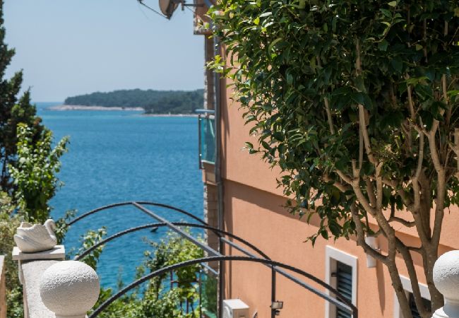 Appartamento a Mali Lošinj - Appartamento in Lussinpiccolo (Mali Losinj) con vista mare, balcone, Climatizzazione, WIFI (4896-2) Appartamento a Mali Lošinj - Appartamento in Lussinpiccolo (Mali Losinj) con vista mare, balcone, Climatizzazione, WIFI (4896-2)