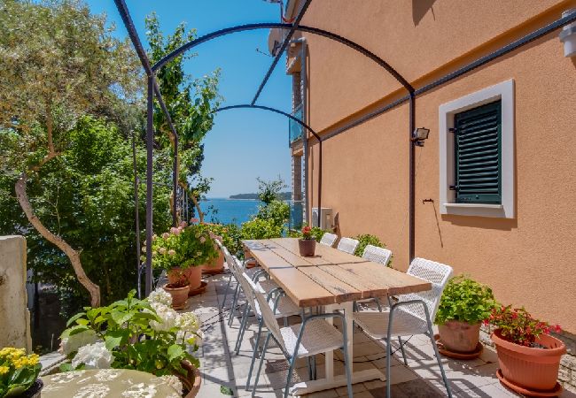 Appartamento a Mali Lošinj - Appartamento in Lussinpiccolo (Mali Losinj) con vista mare, balcone, Climatizzazione, WIFI (4896-1) Appartamento a Mali Lošinj - Appartamento in Lussinpiccolo (Mali Losinj) con vista mare, balcone, Climatizzazione, WIFI (4896-1)