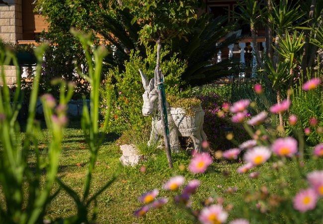 Appartamento a Kampor - Appartamento in Kampor con vista mare, balcone, Climatizzazione, WIFI (4838-1) Appartamento a Kampor - Appartamento in Kampor con vista mare, balcone, Climatizzazione, WIFI (4838-1)