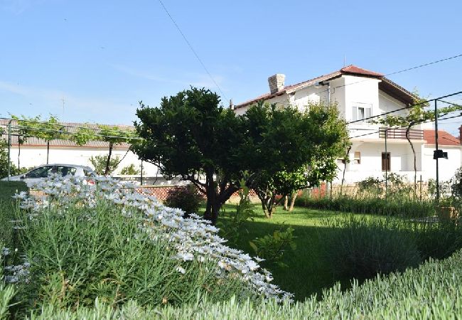 Appartamento a Banjol - Appartamento in Banjol con balcone, Climatizzazione, WIFI, Lavastoviglie (4888-1) Appartamento a Banjol - Appartamento in Banjol con balcone, Climatizzazione, WIFI, Lavastoviglie (4888-1)