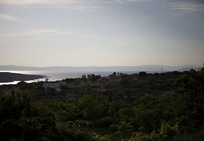 Appartamento a Lopar - Appartamento in Loparo (Lopar) con terrazzo, Climatizzazione, WIFI (4918-1) Appartamento a Lopar - Appartamento in Loparo (Lopar) con terrazzo, Climatizzazione, WIFI (4918-1)
