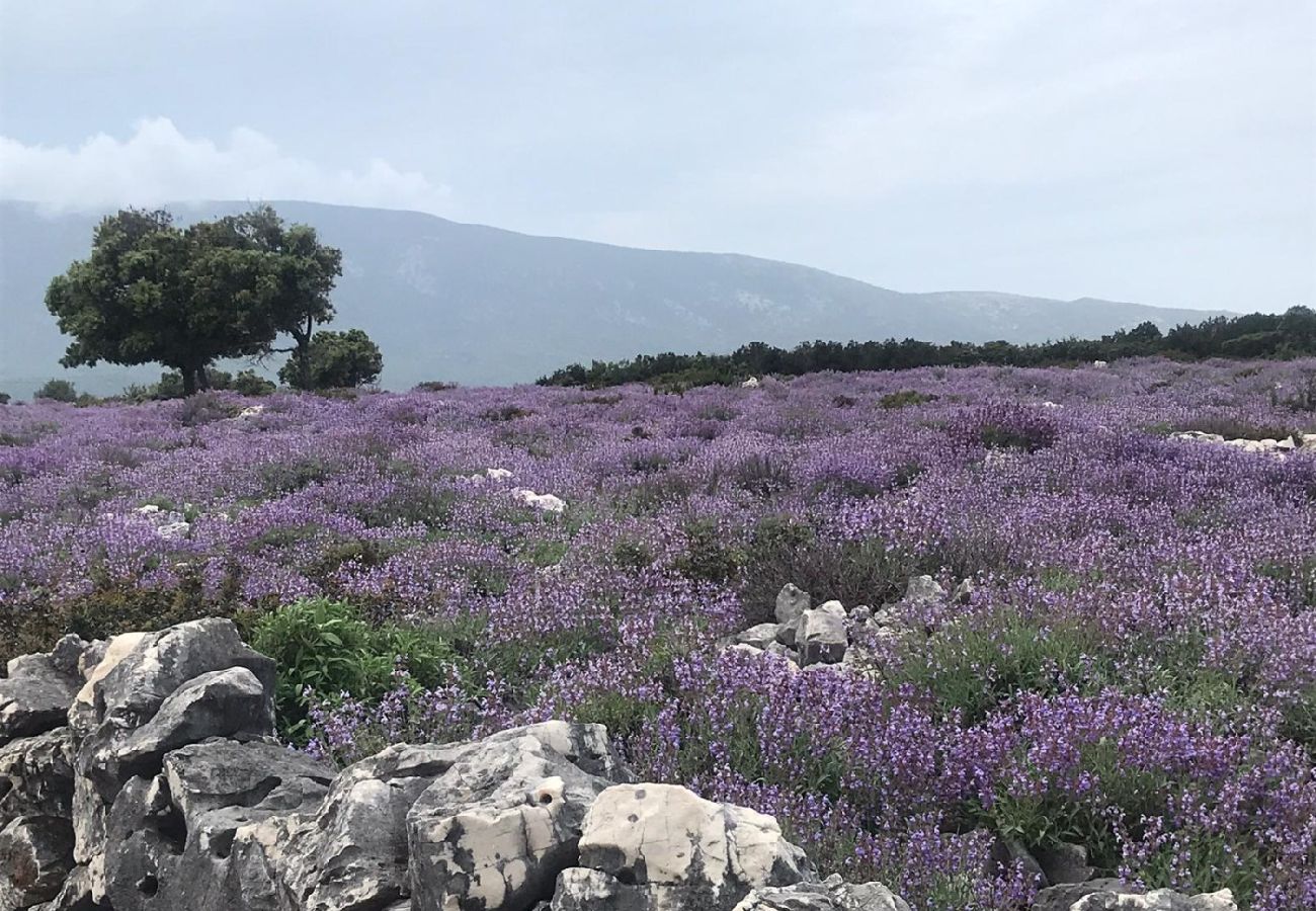 Appartamento a Mali Lošinj - Appartamento in Lussinpiccolo (Mali Losinj) con terrazzo, Climatizzazione, WIFI, Lavatrice (4913-1)