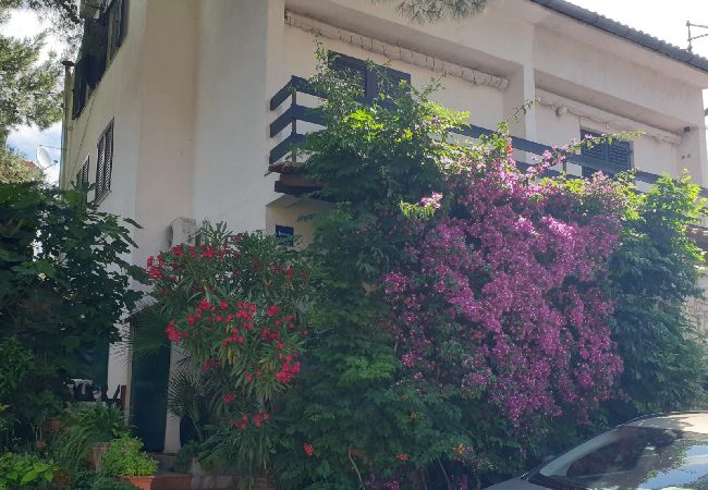 Studio a Mali Lošinj - Appartamento Studio in Lussinpiccolo (Mali Losinj) con terrazzo, Climatizzazione, WIFI (4913-2) Studio a Mali Lošinj - Appartamento Studio in Lussinpiccolo (Mali Losinj) con terrazzo, Climatizzazione, WIFI (4913-2)