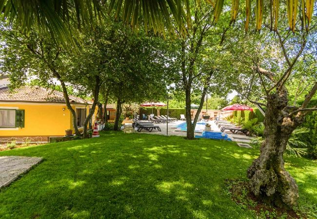 Casa a Porec - Casa di vacanza in Parenzo (Porec) con terrazzo, Climatizzazione, WIFI, Lavatrice (4928-11) Casa a Porec - Casa di vacanza in Parenzo (Porec) con terrazzo, Climatizzazione, WIFI, Lavatrice (4928-11)