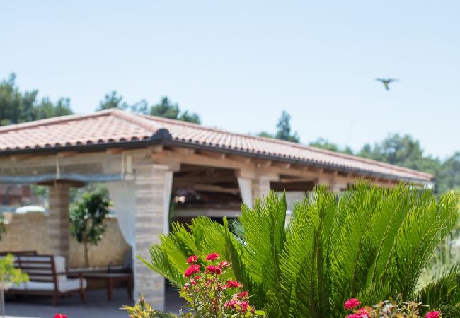 Casa a Vir - Casa di vacanza in Vir con vista mare, terrazzo, Climatizzazione, WIFI (4586-7) Casa a Vir - Casa di vacanza in Vir con vista mare, terrazzo, Climatizzazione, WIFI (4586-7)