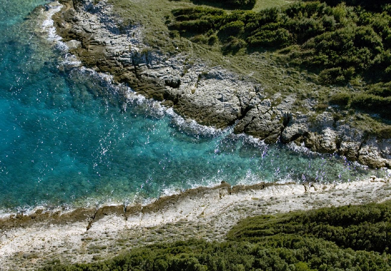 Appartamento a Štinjan - Appartamento in Stignano (Stinjan) con vista mare, terrazzo, Climatizzazione, WIFI (5018-1)