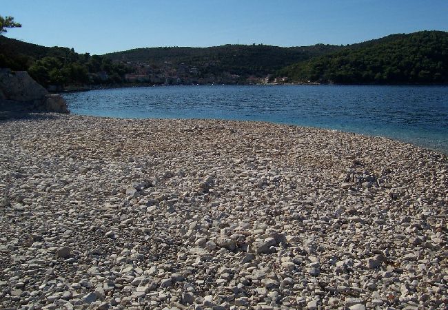 Appartamento a Povlja - Appartamento in Povlja con terrazzo, Climatizzazione, WIFI (4991-1) Appartamento a Povlja - Appartamento in Povlja con terrazzo, Climatizzazione, WIFI (4991-1)