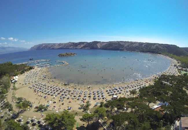 Appartamento a Lopar - Appartamento in Loparo (Lopar) con balcone, Climatizzazione, WIFI (4739-2) Appartamento a Lopar - Appartamento in Loparo (Lopar) con balcone, Climatizzazione, WIFI (4739-2)