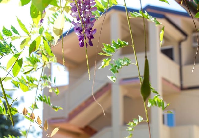 Appartamento a Lopar - Appartamento in Loparo (Lopar) con balcone, Climatizzazione, WIFI (4739-3) Appartamento a Lopar - Appartamento in Loparo (Lopar) con balcone, Climatizzazione, WIFI (4739-3)