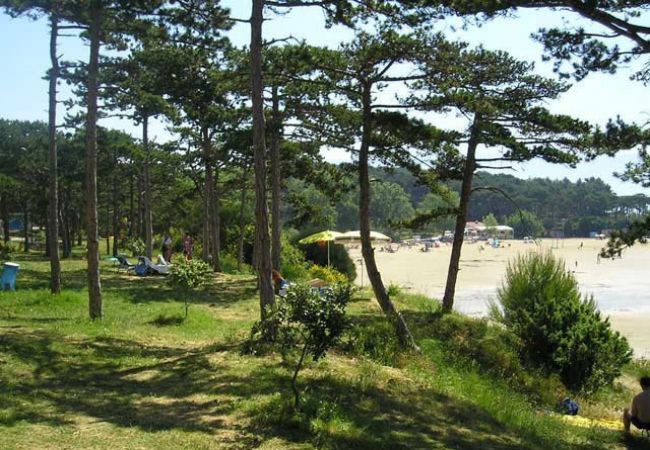 Appartamento a Lopar - Appartamento in Loparo (Lopar) con balcone, Climatizzazione, WIFI (4739-3) Appartamento a Lopar - Appartamento in Loparo (Lopar) con balcone, Climatizzazione, WIFI (4739-3)