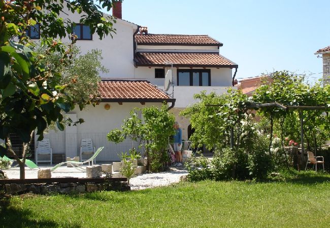 Appartamento a Funtana - Appartamento in Fontane (Funtana) con balcone, Climatizzazione, WIFI, Lavatrice (4982-9) Appartamento a Funtana - Appartamento in Fontane (Funtana) con balcone, Climatizzazione, WIFI, Lavatrice (4982-9)