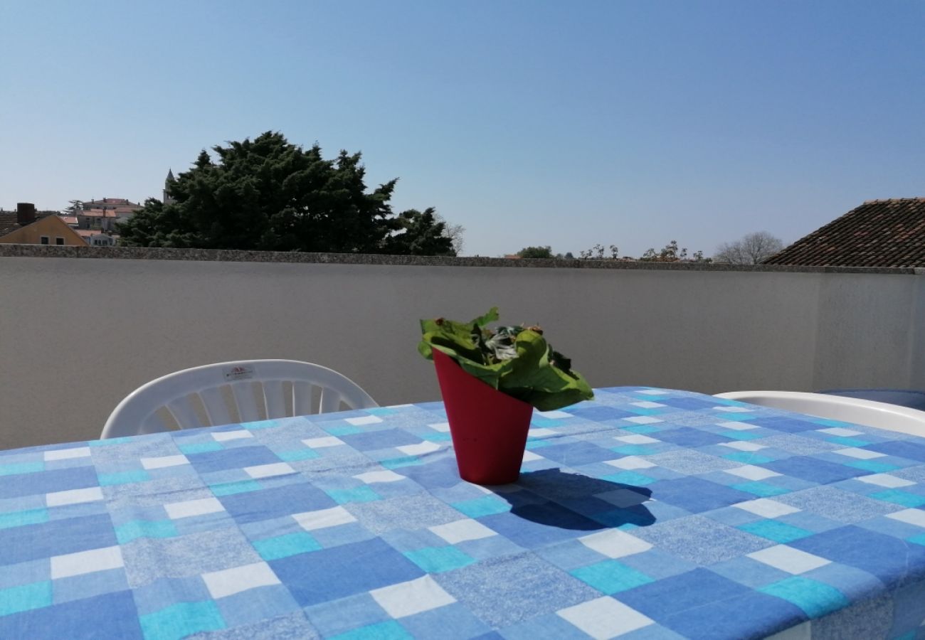 Appartamento a Funtana - Appartamento in Fontane (Funtana) con balcone, Climatizzazione, WIFI, Lavatrice (4982-9)