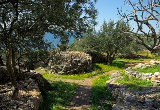 Appartamento a Murter - Appartamento in Morter (Murter) con vista mare, terrazzo, Climatizzazione, WIFI (5026-1) Appartamento a Murter - Appartamento in Morter (Murter) con vista mare, terrazzo, Climatizzazione, WIFI (5026-1)