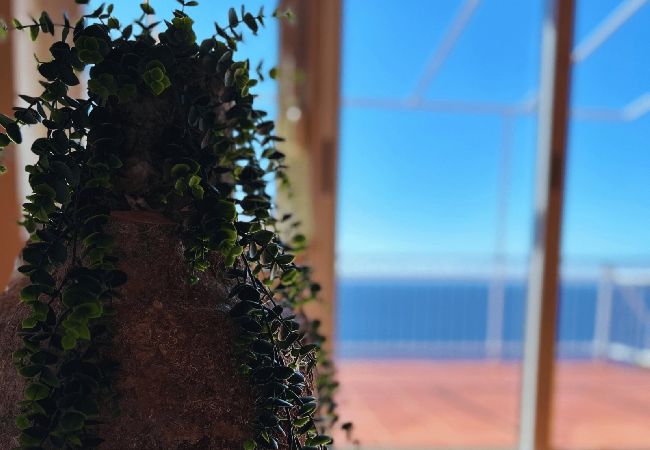 Appartamento a Murter - Appartamento in Morter (Murter) con vista mare, terrazzo, Climatizzazione, WIFI (5026-3) Appartamento a Murter - Appartamento in Morter (Murter) con vista mare, terrazzo, Climatizzazione, WIFI (5026-3)