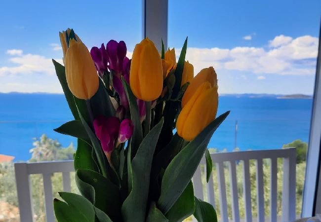 Appartamento a Murter - Appartamento in Morter (Murter) con vista mare, Climatizzazione, WIFI (5026-4) Appartamento a Murter - Appartamento in Morter (Murter) con vista mare, Climatizzazione, WIFI (5026-4)