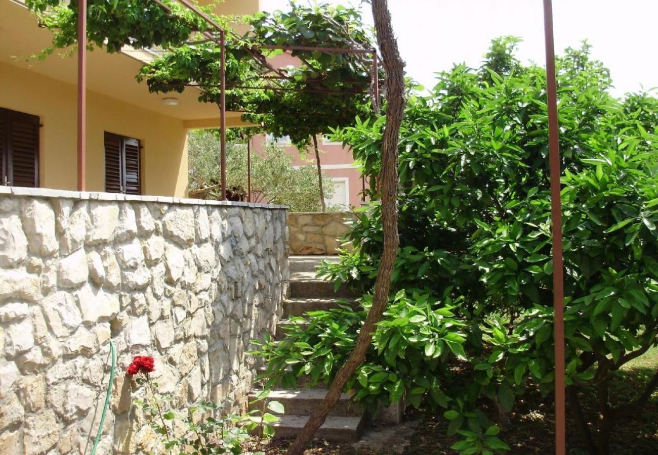 Appartamento a Stari Grad - Appartamento in Cittavecchia (Starigrad) con terrazzo, Climatizzazione, WIFI, Lavatrice (5028-1)