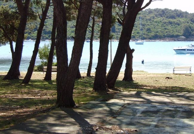 Appartamento a Mali Lošinj - Apartment in Mali Lošinj with Terrace, Air condition, WIFI, Washing machine (4913-3) Appartamento a Mali Lošinj - Apartment in Mali Lošinj with Terrace, Air condition, WIFI, Washing machine (4913-3)