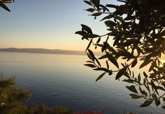 Casa a Pisak - Casa di vacanza in Pisak con vista mare, terrazzo, Climatizzazione, WIFI (5023-4) Casa a Pisak - Casa di vacanza in Pisak con vista mare, terrazzo, Climatizzazione, WIFI (5023-4)