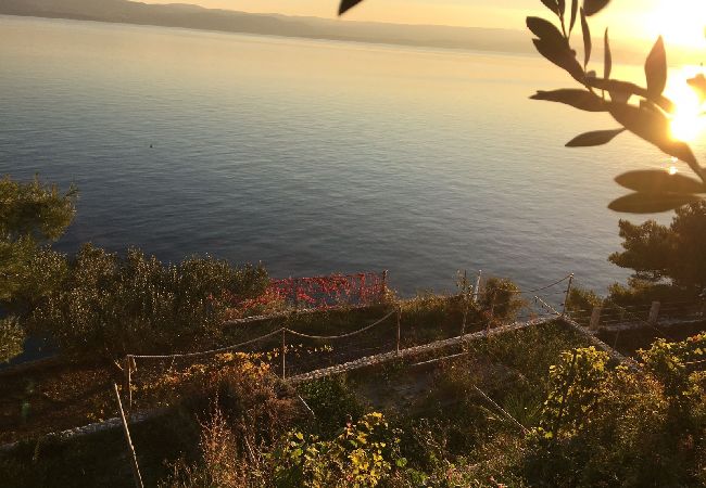 Casa a Pisak - Casa di vacanza in Pisak con vista mare, terrazzo, Climatizzazione, WIFI (5023-4) Casa a Pisak - Casa di vacanza in Pisak con vista mare, terrazzo, Climatizzazione, WIFI (5023-4)