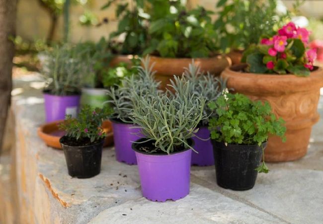 Studio a Trogir - Appartamento Studio in Traù (Trogir) con terrazzo, Climatizzazione, WIFI, Lavatrice (5058-2) Studio a Trogir - Appartamento Studio in Traù (Trogir) con terrazzo, Climatizzazione, WIFI, Lavatrice (5058-2)