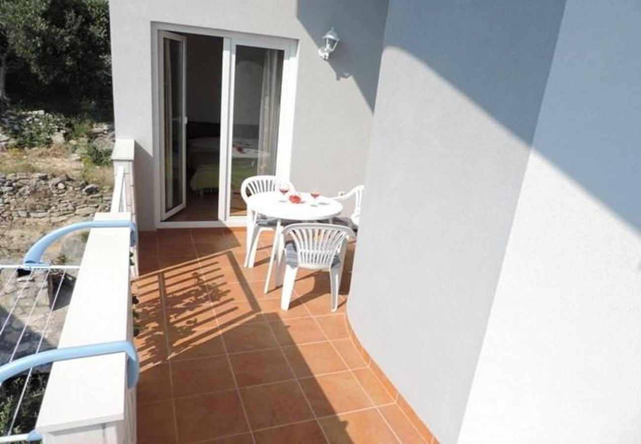 Studio a Duce - Appartamento Studio in Duće con vista mare, balcone, Climatizzazione, WIFI (5067-6)