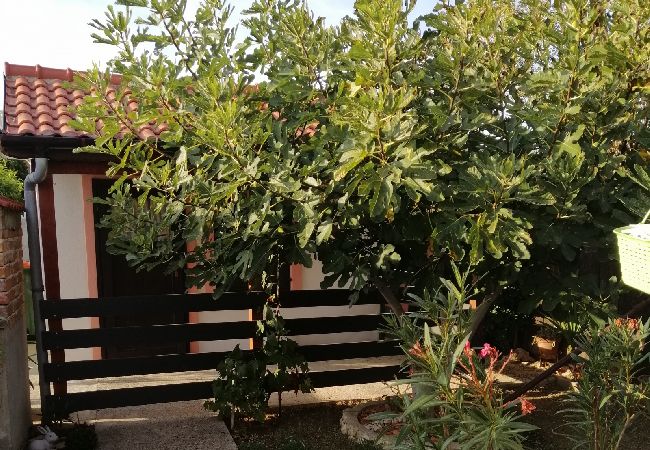 Appartamento a Privlaka - Appartamento in Brevilacqua (Privlaka) con vista mare, terrazzo, Climatizzazione, WIFI (3591-3) Appartamento a Privlaka - Appartamento in Brevilacqua (Privlaka) con vista mare, terrazzo, Climatizzazione, WIFI (3591-3)