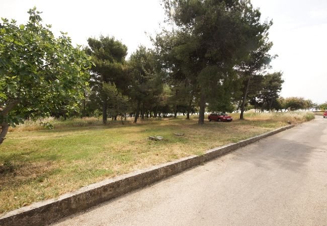 Appartamento a Vodice - Ferienwohnung in Vodice mit Meerblick, Terrasse, Klimaanlage, W-LAN (144-1) Appartamento a Vodice - Ferienwohnung in Vodice mit Meerblick, Terrasse, Klimaanlage, W-LAN (144-1)