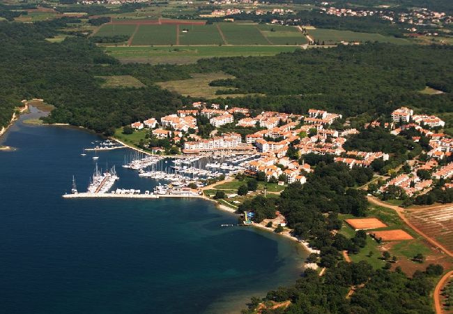 Casa a Porec - Casa di vacanza in Parenzo (Porec) con terrazzo, Climatizzazione, WIFI, Lavatrice (4928-11) Casa a Porec - Casa di vacanza in Parenzo (Porec) con terrazzo, Climatizzazione, WIFI, Lavatrice (4928-11)