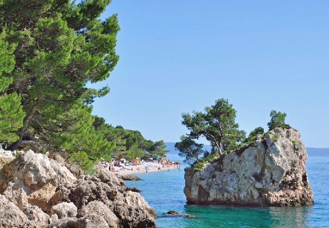 Appartamento a Brela - Appartamento in Brella (Brela) con vista mare, terrazzo, Climatizzazione, WIFI (201-10) Appartamento a Brela - Appartamento in Brella (Brela) con vista mare, terrazzo, Climatizzazione, WIFI (201-10)