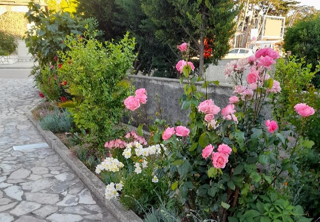 Appartamento a Lopar - Appartamento in Loparo (Lopar) con vista mare, terrazzo, Climatizzazione, WIFI (3719-1) Appartamento a Lopar - Appartamento in Loparo (Lopar) con vista mare, terrazzo, Climatizzazione, WIFI (3719-1)