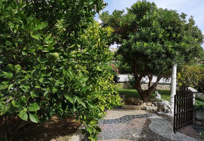 Appartamento a Lopar - Appartamento in Loparo (Lopar) con vista mare, terrazzo, Climatizzazione, WIFI (593-3) Appartamento a Lopar - Appartamento in Loparo (Lopar) con vista mare, terrazzo, Climatizzazione, WIFI (593-3)