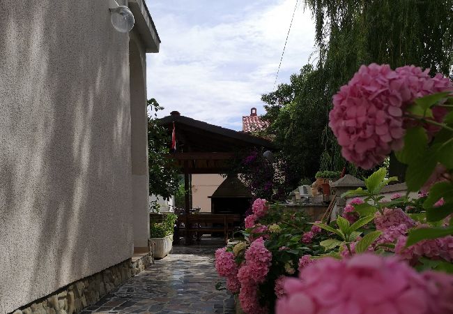 Appartamento a Lopar - Appartamento in Loparo (Lopar) con vista mare, terrazzo, Climatizzazione, WIFI (593-3) Appartamento a Lopar - Appartamento in Loparo (Lopar) con vista mare, terrazzo, Climatizzazione, WIFI (593-3)