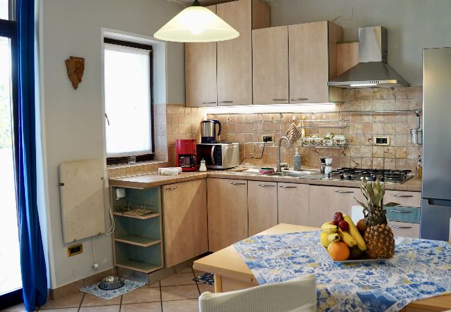 Appartamento a Rovinj - Appartamento in Rovigno (Rovinj) con terrazzo, Climatizzazione, WIFI, Lavatrice (3652-4) Appartamento a Rovinj - Appartamento in Rovigno (Rovinj) con terrazzo, Climatizzazione, WIFI, Lavatrice (3652-4)