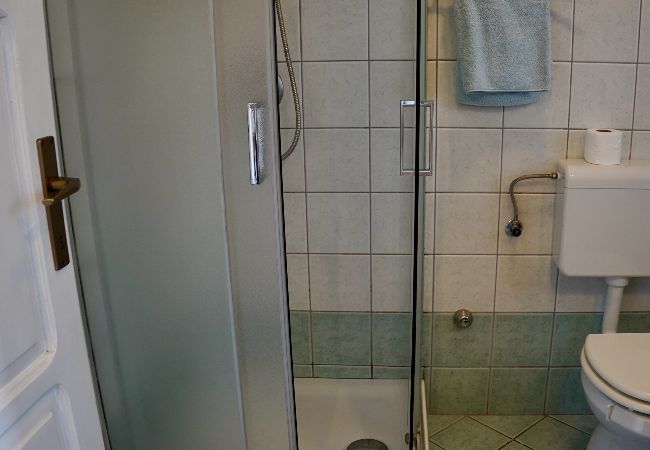 Appartamento a Rovinj - Appartamento in Rovigno (Rovinj) con terrazzo, Climatizzazione, WIFI, Lavatrice (3652-4) Appartamento a Rovinj - Appartamento in Rovigno (Rovinj) con terrazzo, Climatizzazione, WIFI, Lavatrice (3652-4)