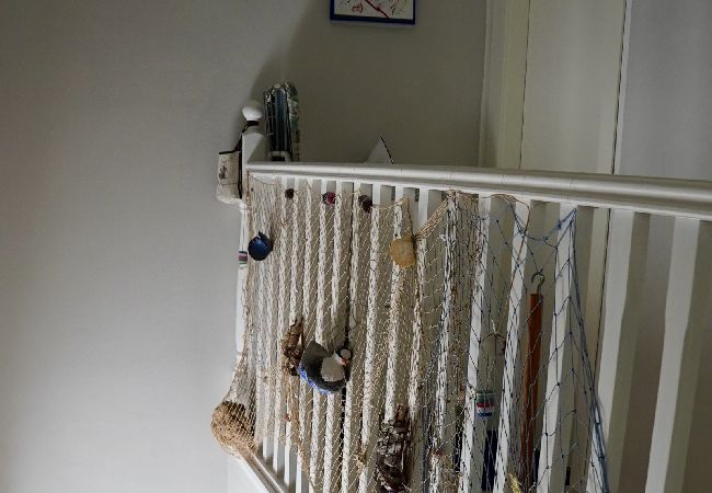 Appartamento a Rovinj - Appartamento in Rovigno (Rovinj) con terrazzo, Climatizzazione, WIFI, Lavatrice (3652-4) Appartamento a Rovinj - Appartamento in Rovigno (Rovinj) con terrazzo, Climatizzazione, WIFI, Lavatrice (3652-4)