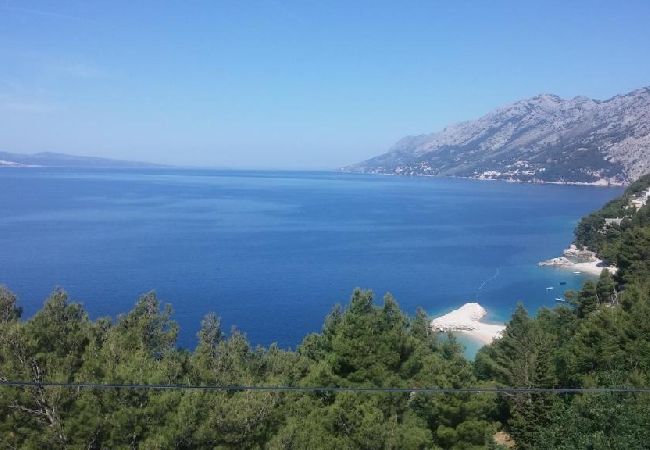 Appartamento a Brela - Appartamento in Brella (Brela) con vista mare, terrazzo, Climatizzazione, WIFI (5122-1) Appartamento a Brela - Appartamento in Brella (Brela) con vista mare, terrazzo, Climatizzazione, WIFI (5122-1)