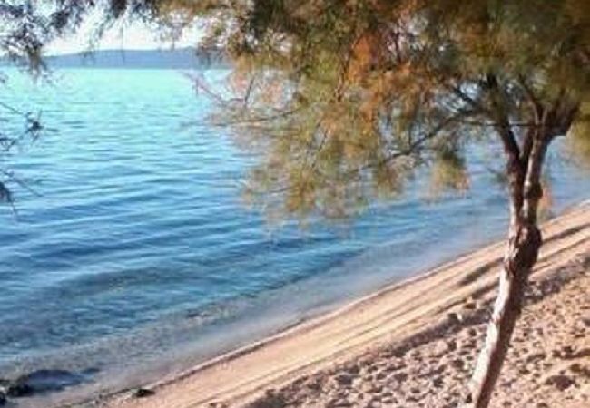 Appartamento a Kaštel Kambelovac - Appartamento in Castel Cambi (Kastel Kambelovac) con vista mare, Climatizzazione, WIFI, Lavatrice (4483-2) Appartamento a Kaštel Kambelovac - Appartamento in Castel Cambi (Kastel Kambelovac) con vista mare, Climatizzazione, WIFI, Lavatrice (4483-2)