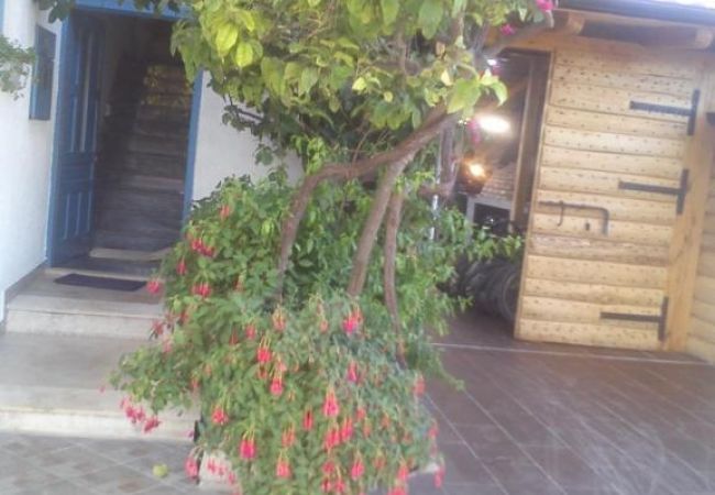 Studio a Sucuraj - Appartamento Studio in San Giorgio (Sućuraj) con vista mare, balcone, Climatizzazione, WIFI (3560-3) Studio a Sucuraj - Appartamento Studio in San Giorgio (Sućuraj) con vista mare, balcone, Climatizzazione, WIFI (3560-3)