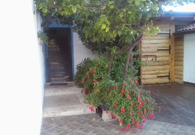 Studio a Sucuraj - Appartamento Studio in San Giorgio (Sućuraj) con vista mare, balcone, Climatizzazione, WIFI (3560-3) Studio a Sucuraj - Appartamento Studio in San Giorgio (Sućuraj) con vista mare, balcone, Climatizzazione, WIFI (3560-3)