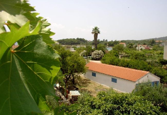 Studio a Sucuraj - Appartamento Studio in San Giorgio (Sućuraj) con vista mare, balcone, Climatizzazione, WIFI (3560-3) Studio a Sucuraj - Appartamento Studio in San Giorgio (Sućuraj) con vista mare, balcone, Climatizzazione, WIFI (3560-3)