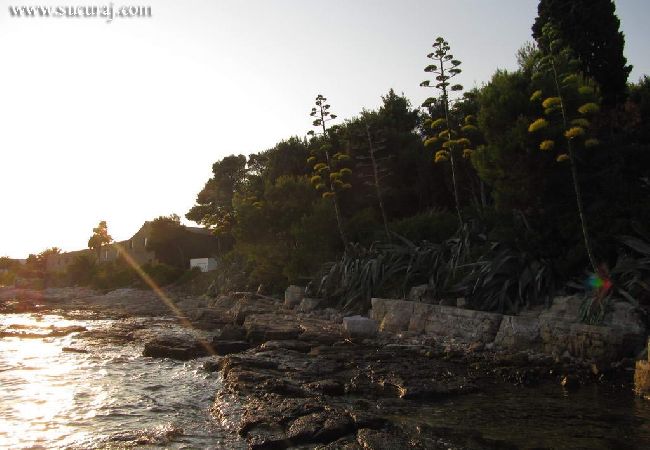 Studio a Sucuraj - Appartamento Studio in San Giorgio (Sućuraj) con vista mare, balcone, Climatizzazione, WIFI (3560-3) Studio a Sucuraj - Appartamento Studio in San Giorgio (Sućuraj) con vista mare, balcone, Climatizzazione, WIFI (3560-3)