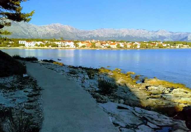 Studio a Sucuraj - Appartamento Studio in San Giorgio (Sućuraj) con vista mare, balcone, Climatizzazione, WIFI (3560-3) Studio a Sucuraj - Appartamento Studio in San Giorgio (Sućuraj) con vista mare, balcone, Climatizzazione, WIFI (3560-3)